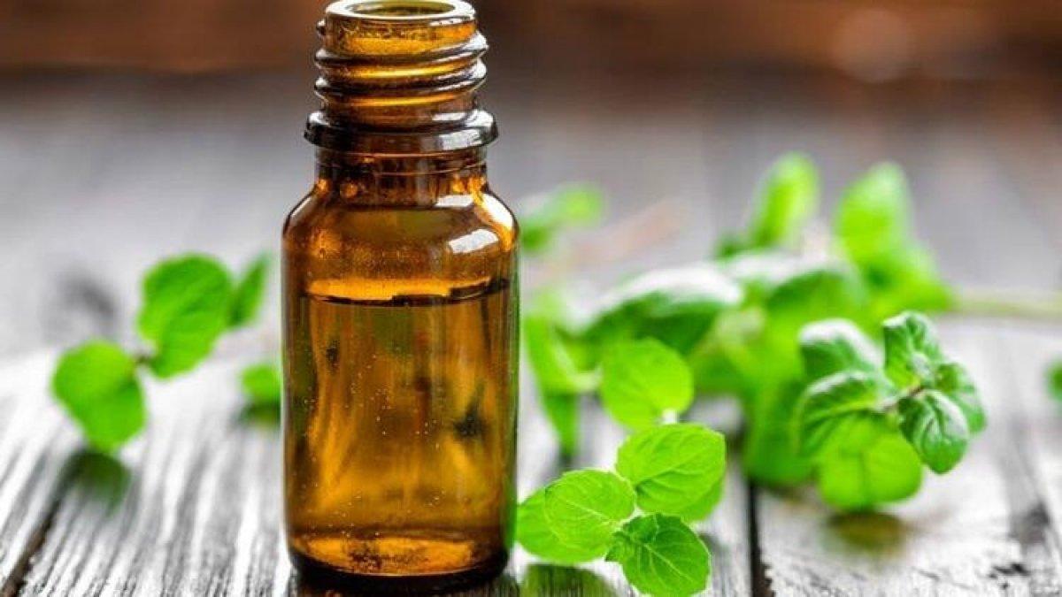 Mutluluk saçan yağ: Palmarosa yağı nedir, neye iyi gelir?