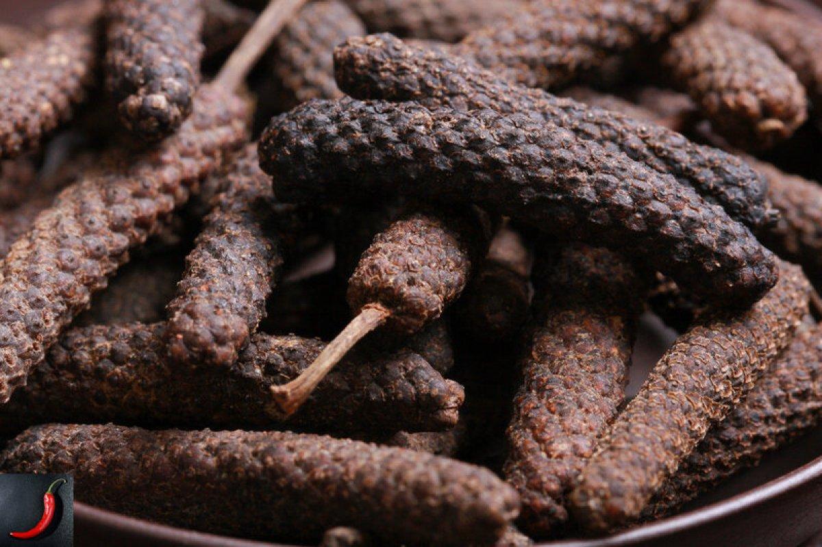 Yüzyılların şifa baharatı: Darülfülfül nedir, faydaları nelerdir?