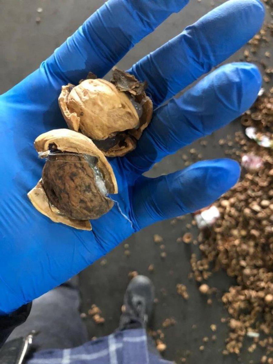 Ağrı'da 153 kilo afyon sakızı ele geçirildi