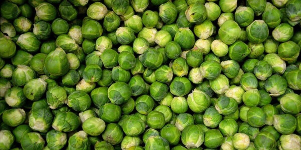 Diyetinize ekleyebileceğiniz yüksek proteinli 10 sebze