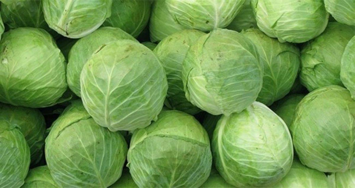 Diyetinize ekleyebileceğiniz yüksek proteinli 10 sebze