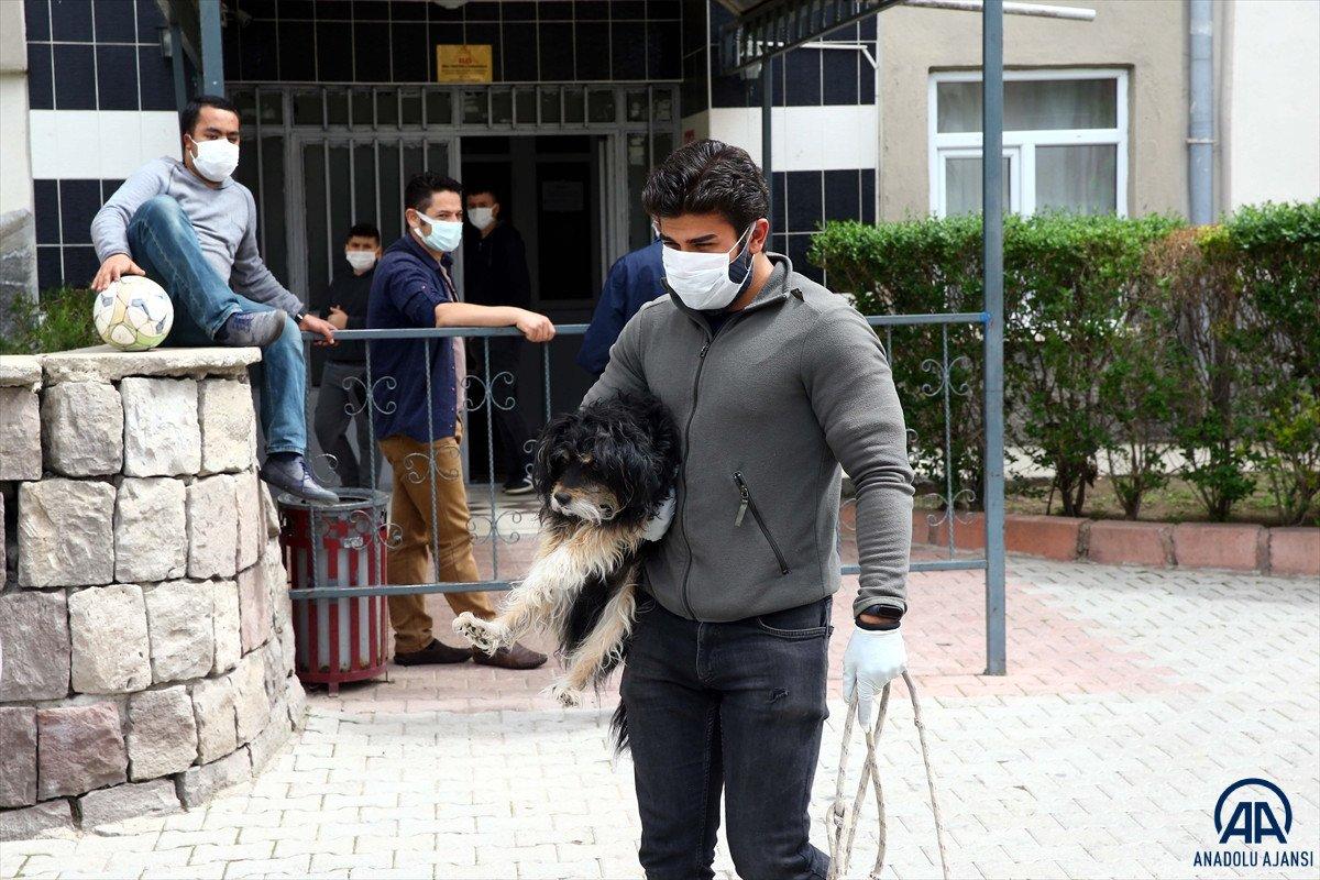 Kayseri'de sahibinin öldüğünü sürekli havlayarak haber verdi