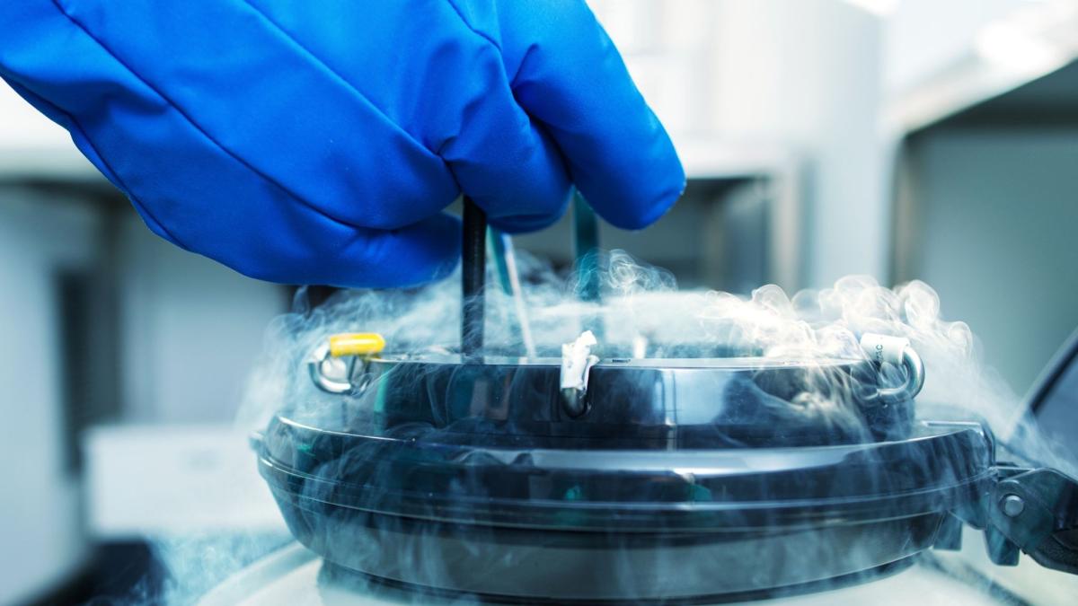 Yumurta dondurma işlemi karından da yapılabiliyor