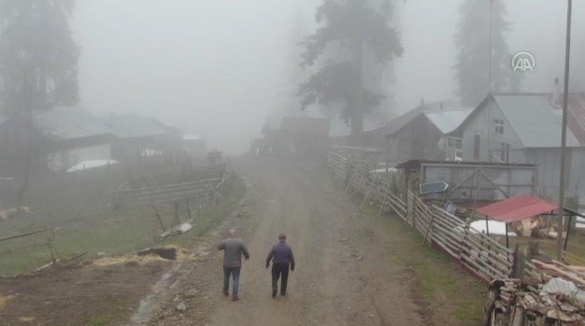 Düzce'de salgın sürecinde yerleştikleri yaylalarda izole hayatın keyfini çıkarıyorlar
