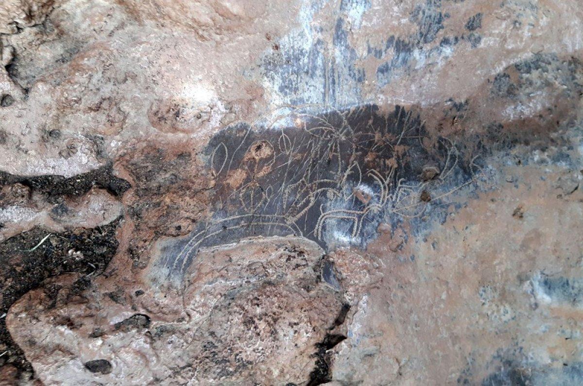 Mersin'de 8 bin yıllık kaya resimleri ortaya çıktı