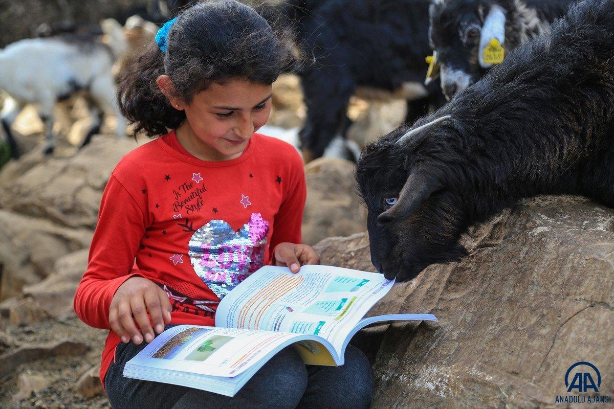 Muğla'da Yörük kızı Cennet'in okuma azmi