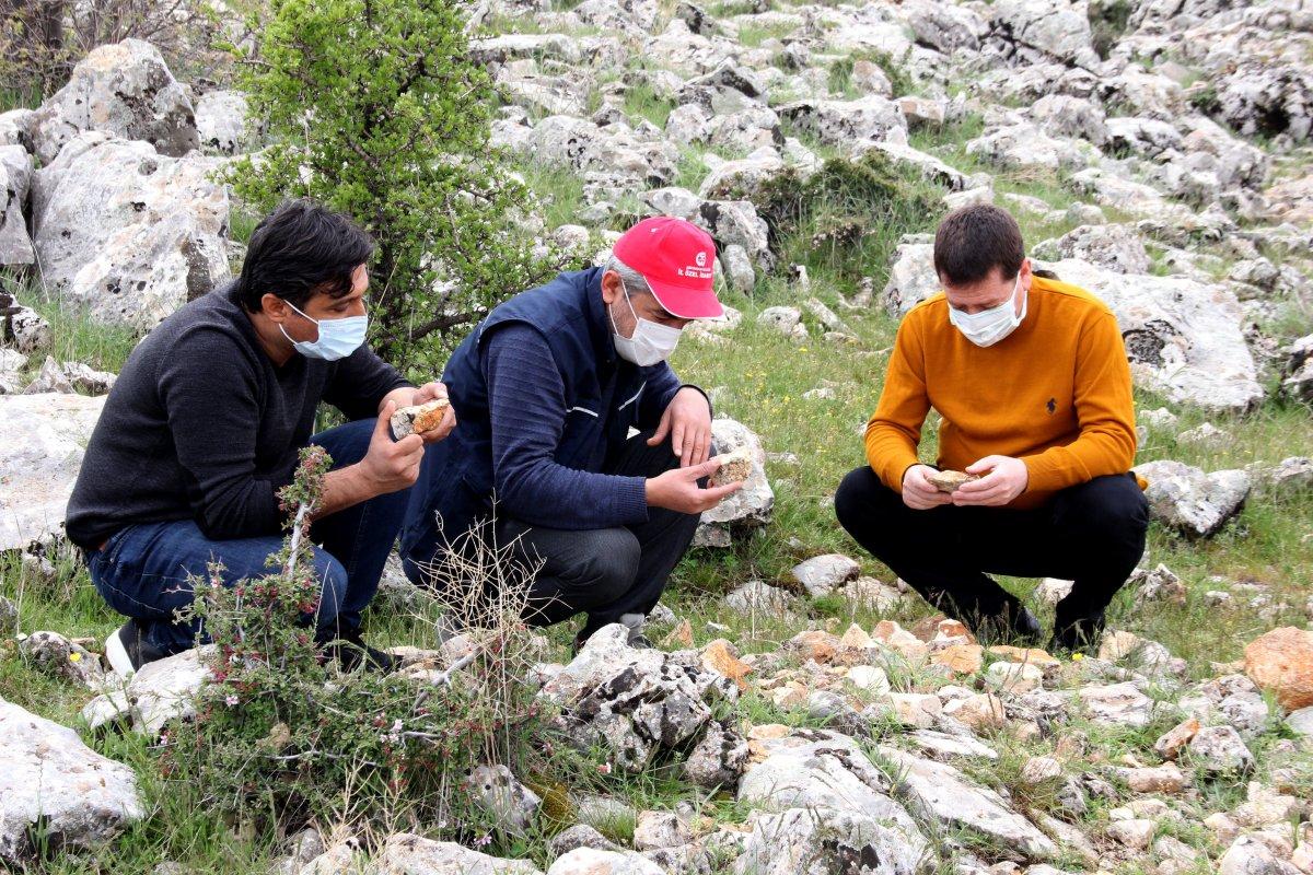 Adıyaman’da en az 66 milyon yıllık balık dişleri bulundu