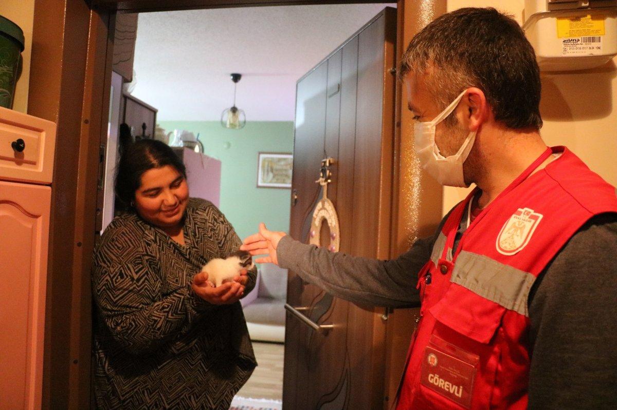 Sivas'ta yavru kedi sütannesi ile buluşturuldu