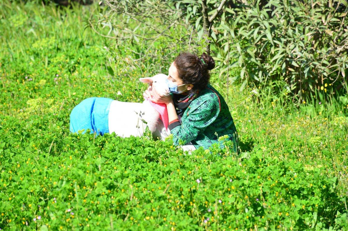 Sakarya'daki kuzusunun altını bezleyip kendiyle gezdiriyor