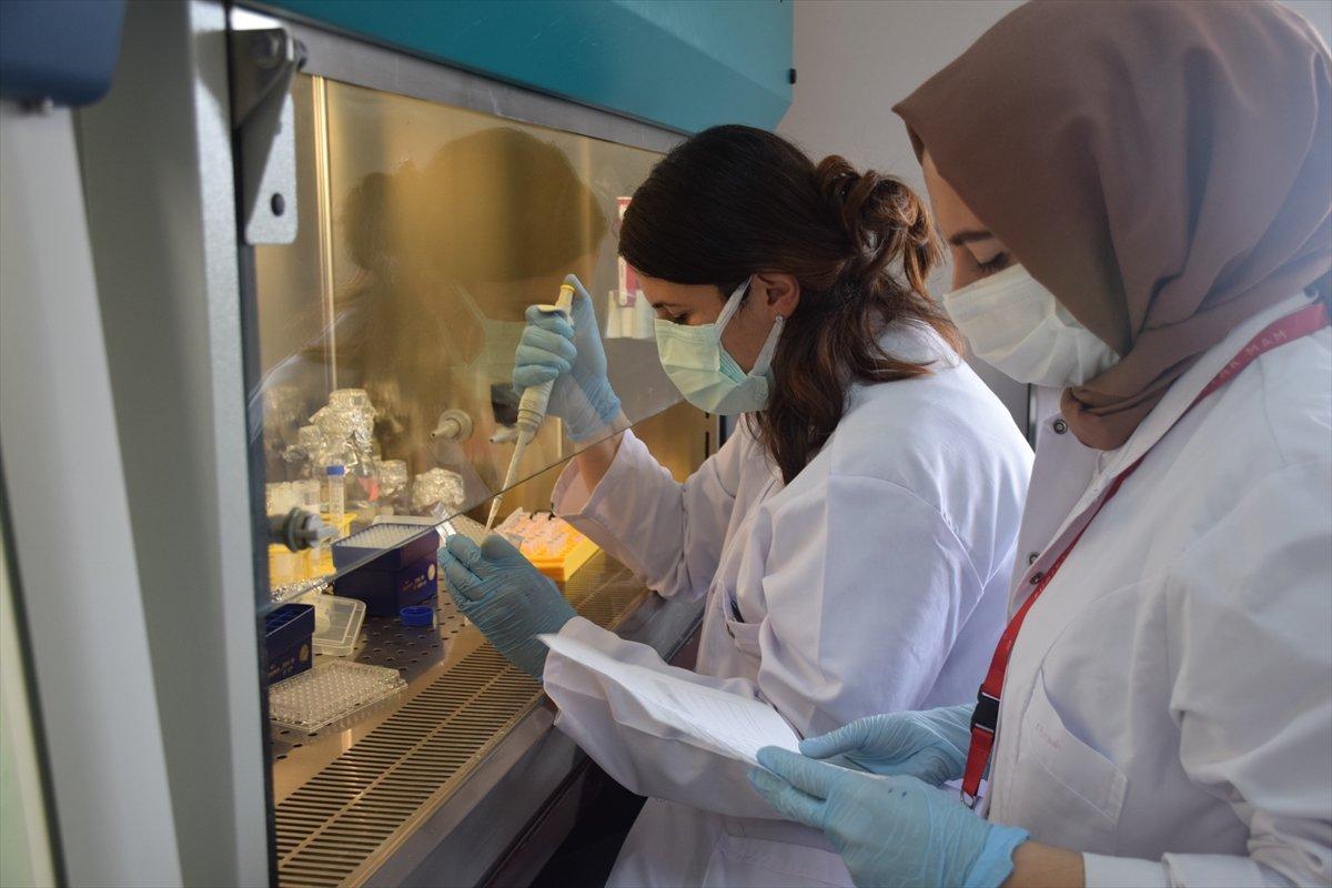 TÜBİTAK yerli aşının tarihini duyurdu