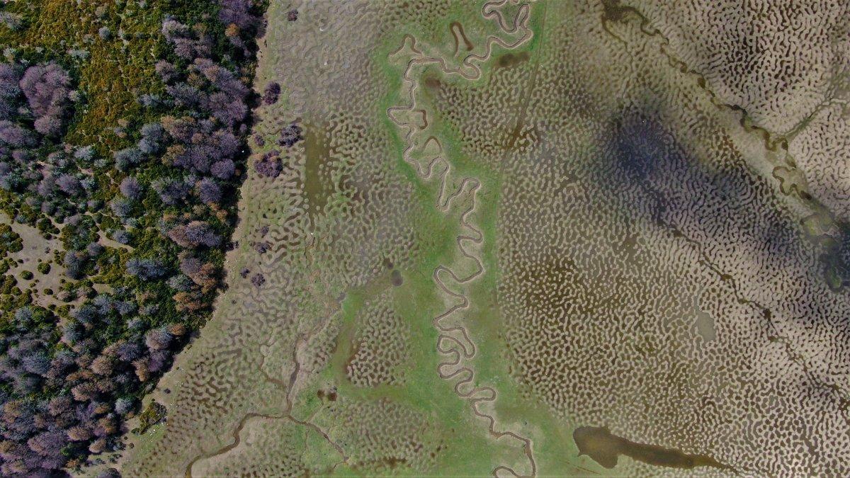 Sakarya’daki Karagöl Yaylası’nı gören hayran kalıyor