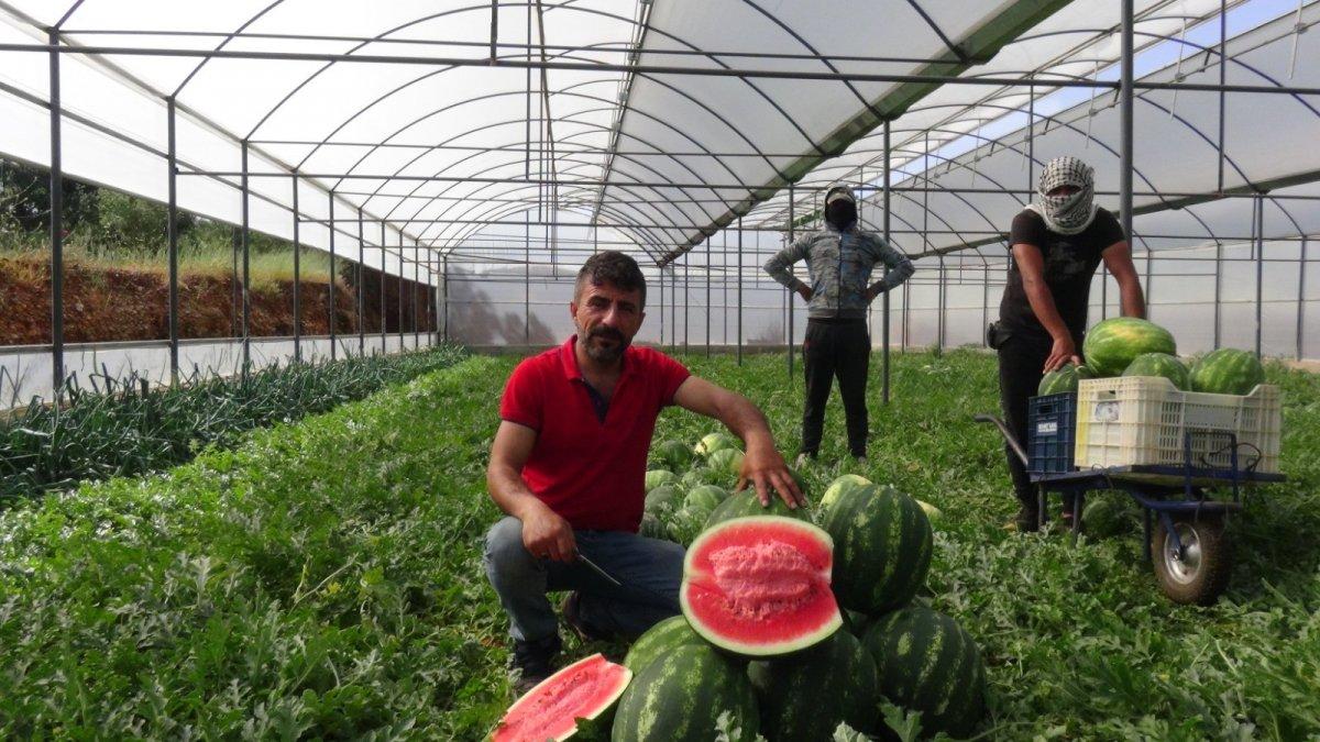 karpuz üreticileri dertlerini dile getirdi