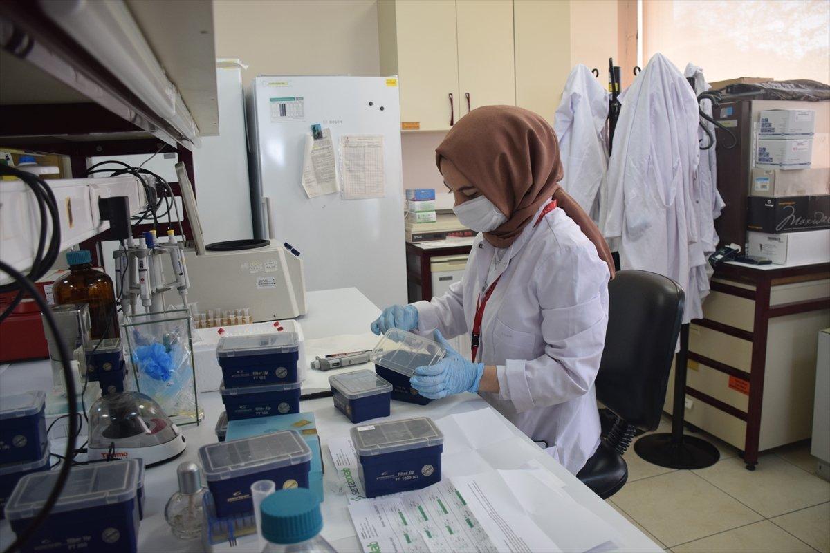 TÜBİTAK yerli aşının tarihini duyurdu