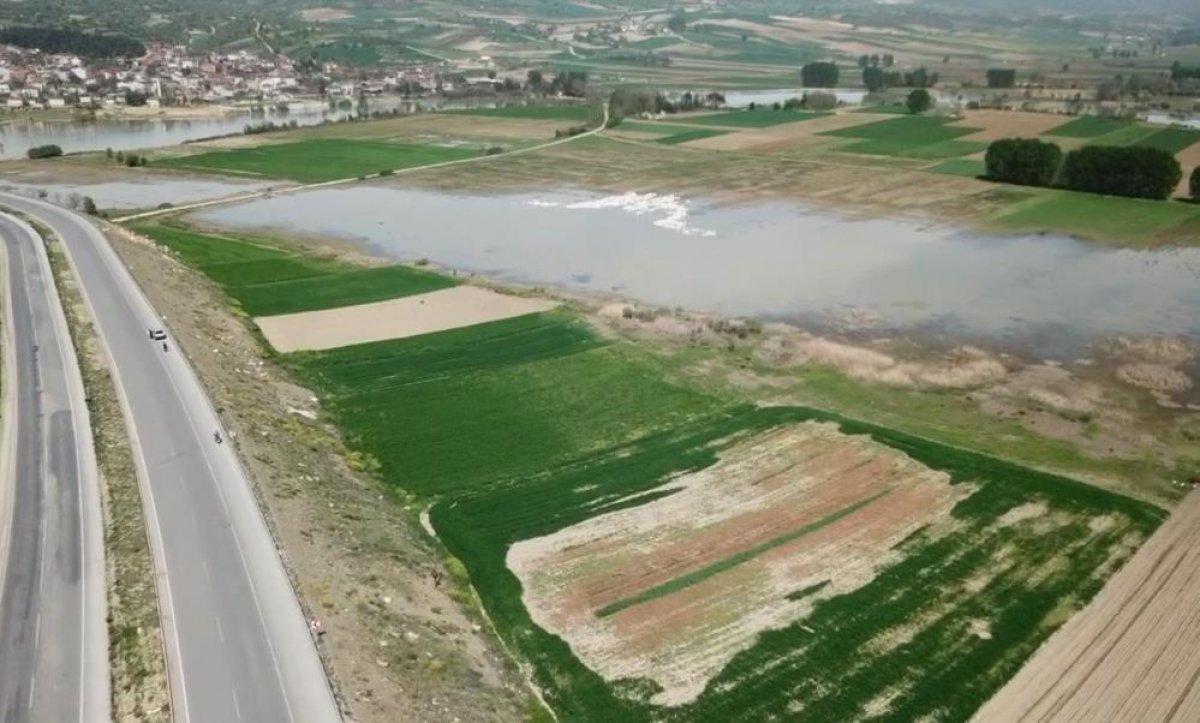 Bursa'ya gelen pelikanlar görenlerin ilgisini çekti