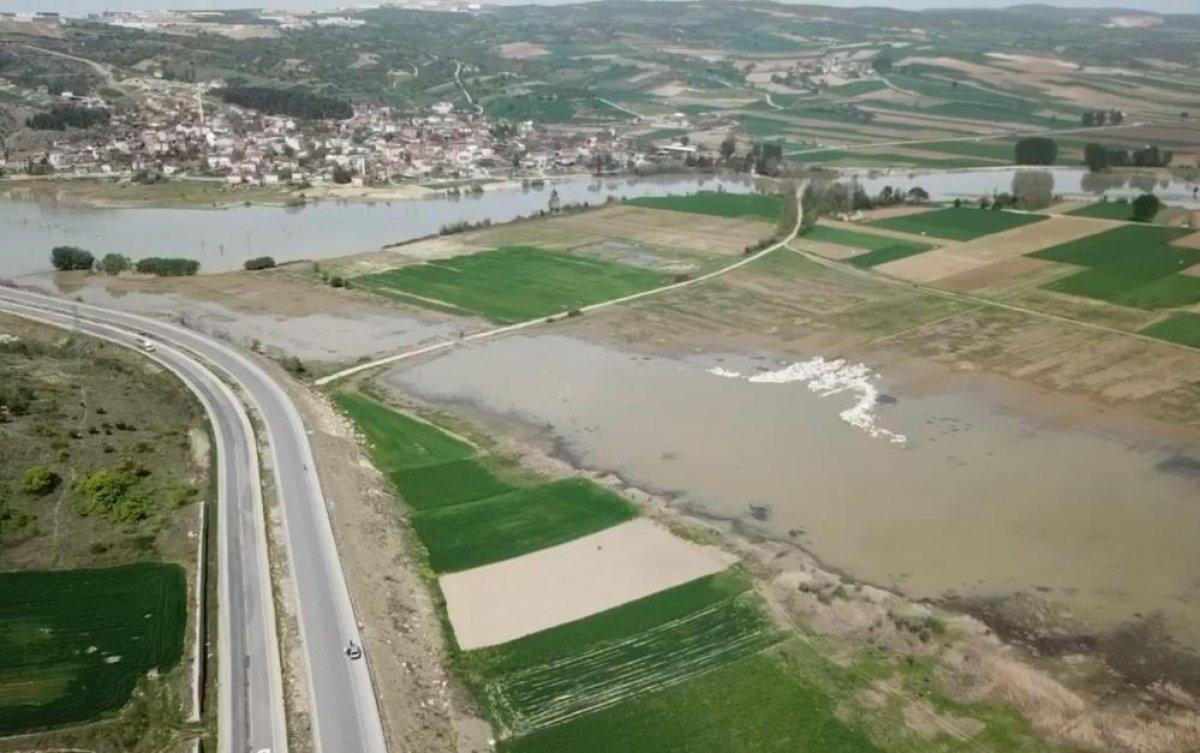 Bursa'ya gelen pelikanlar görenlerin ilgisini çekti