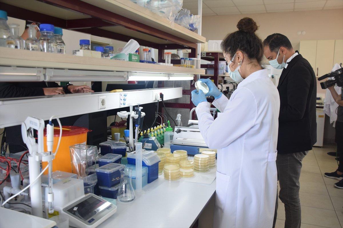 TÜBİTAK yerli aşının tarihini duyurdu