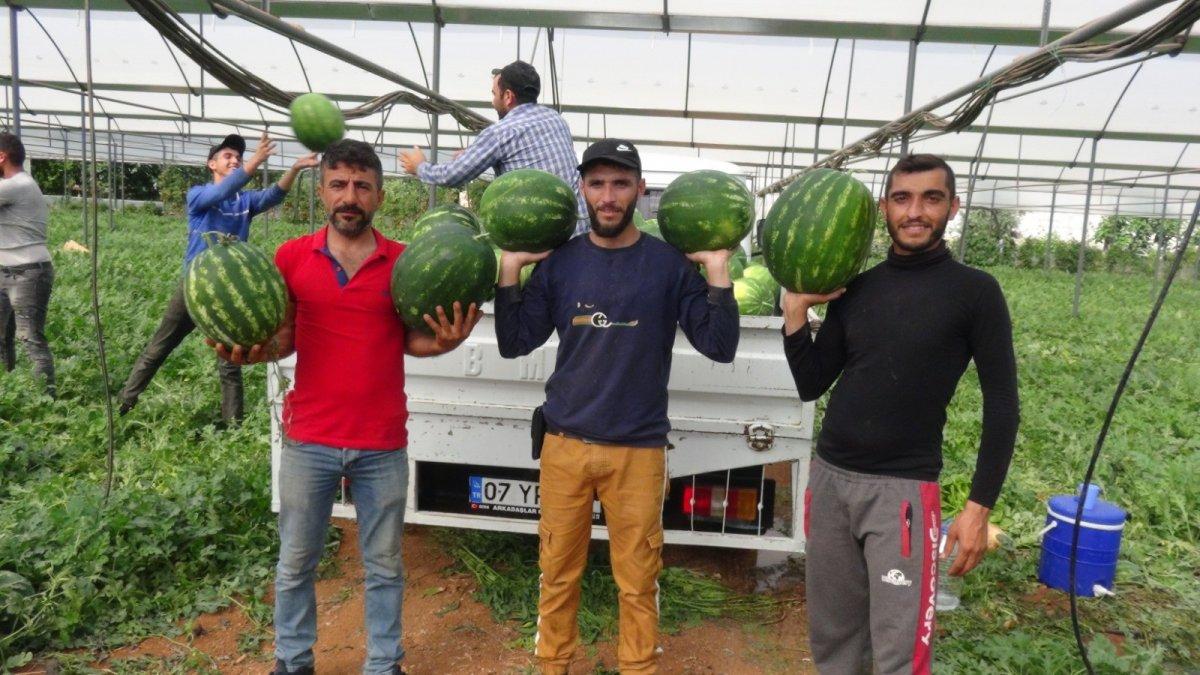 karpuz üreticileri dertlerini dile getirdi