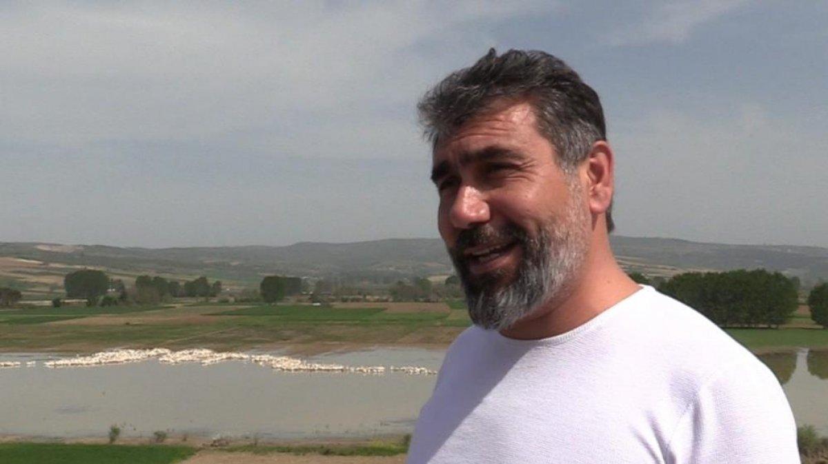 Bursa'ya gelen pelikanlar görenlerin ilgisini çekti