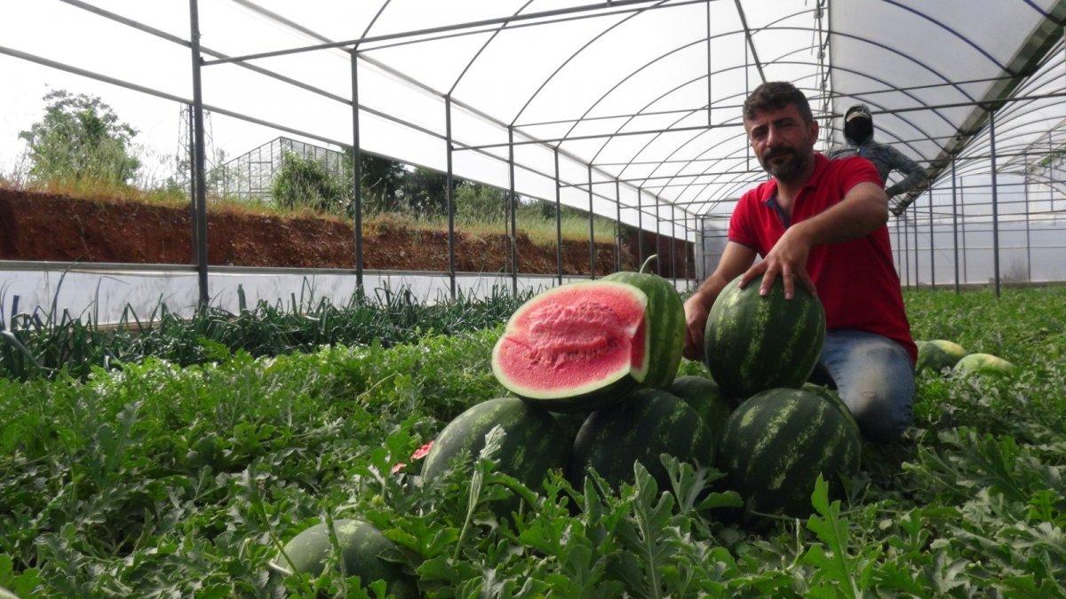 karpuz üreticileri dertlerini dile getirdi