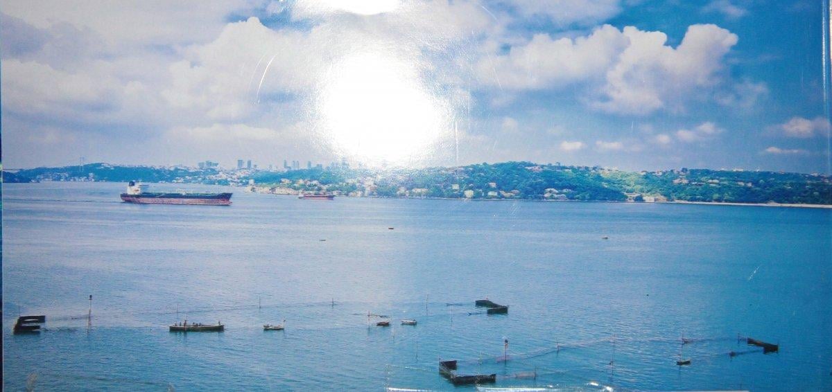 Beykoz Dalyanı