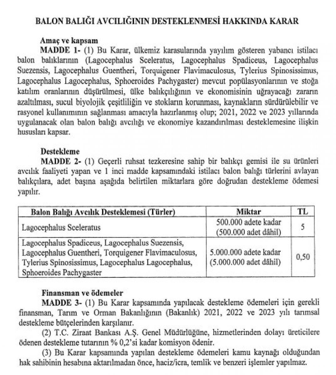 Balon balığı avcılığına destek
