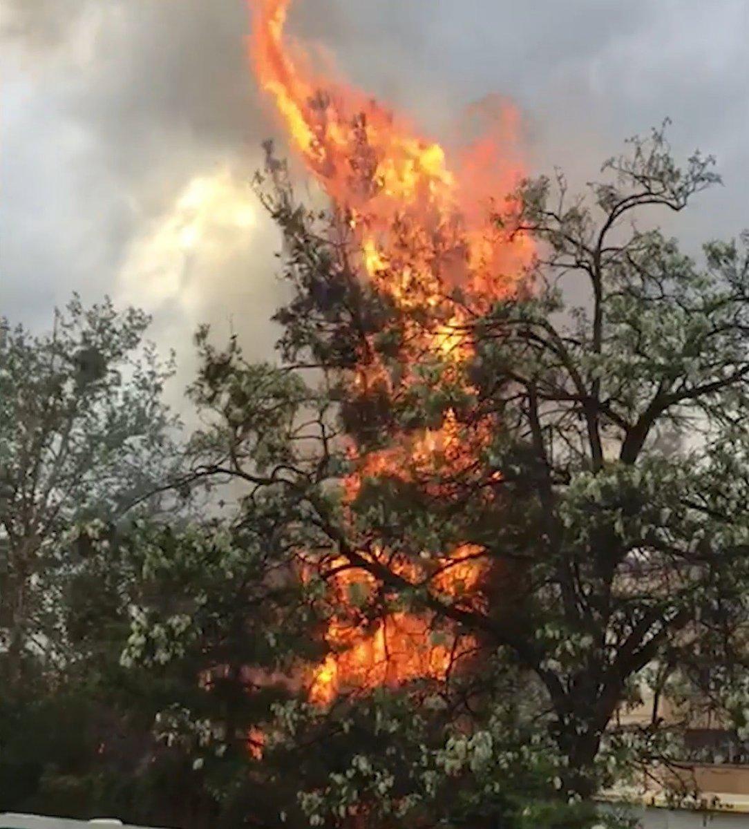 Kırıkkale'de vatandaşlar ağaç yangınını film izler gibi izledi