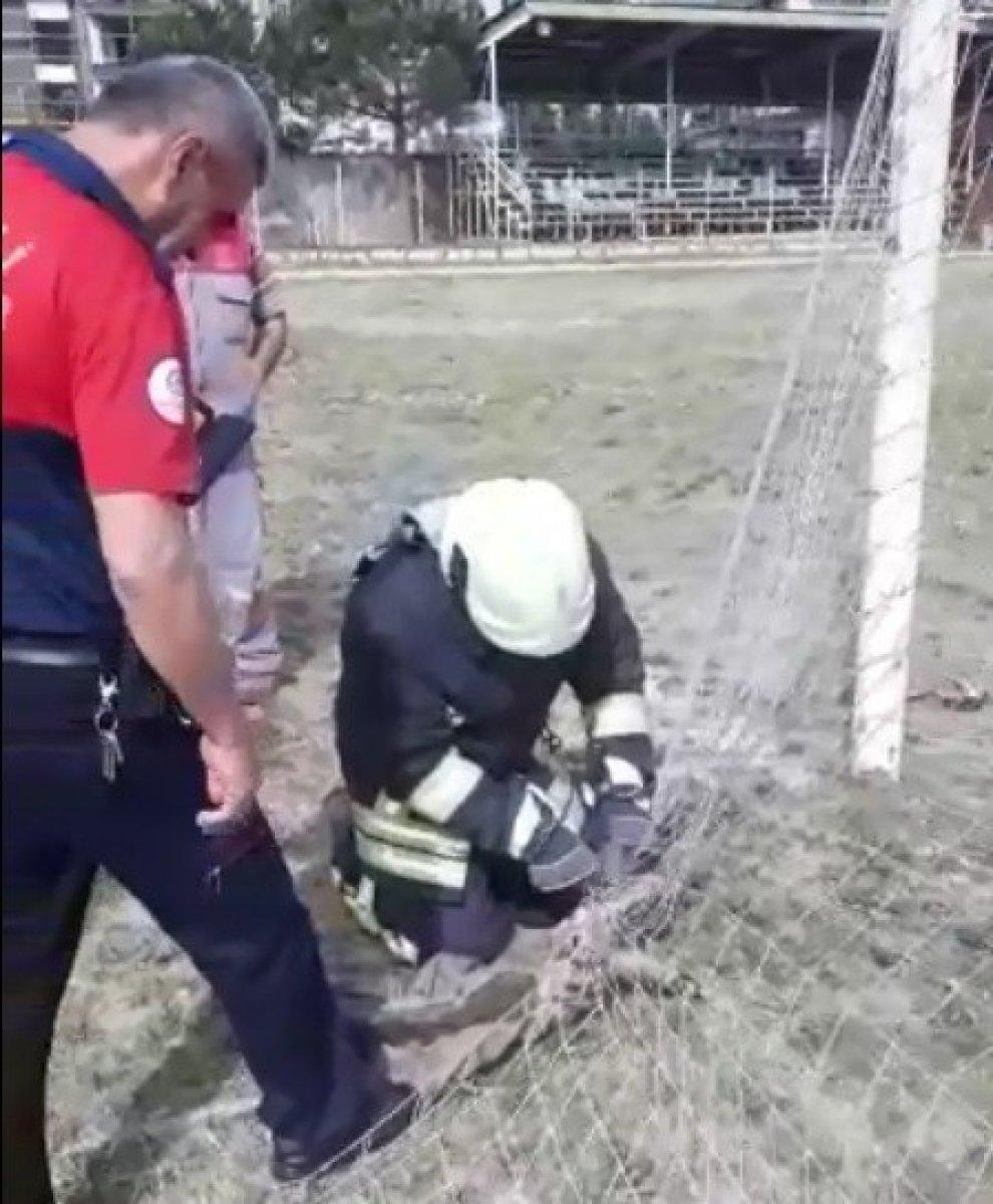 Denizli'de kale ağlarına takılan kediyi itfaiye kurtardı