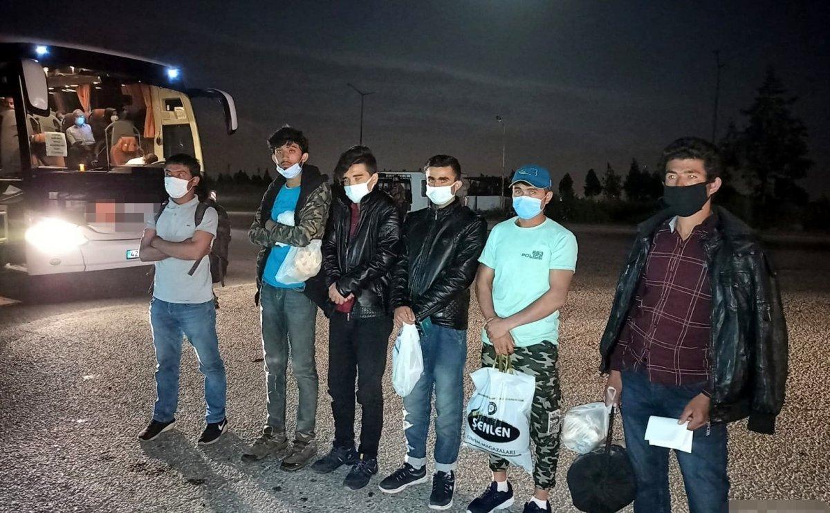 Osmaniye’de 9 düzensiz göçmen yakalandı