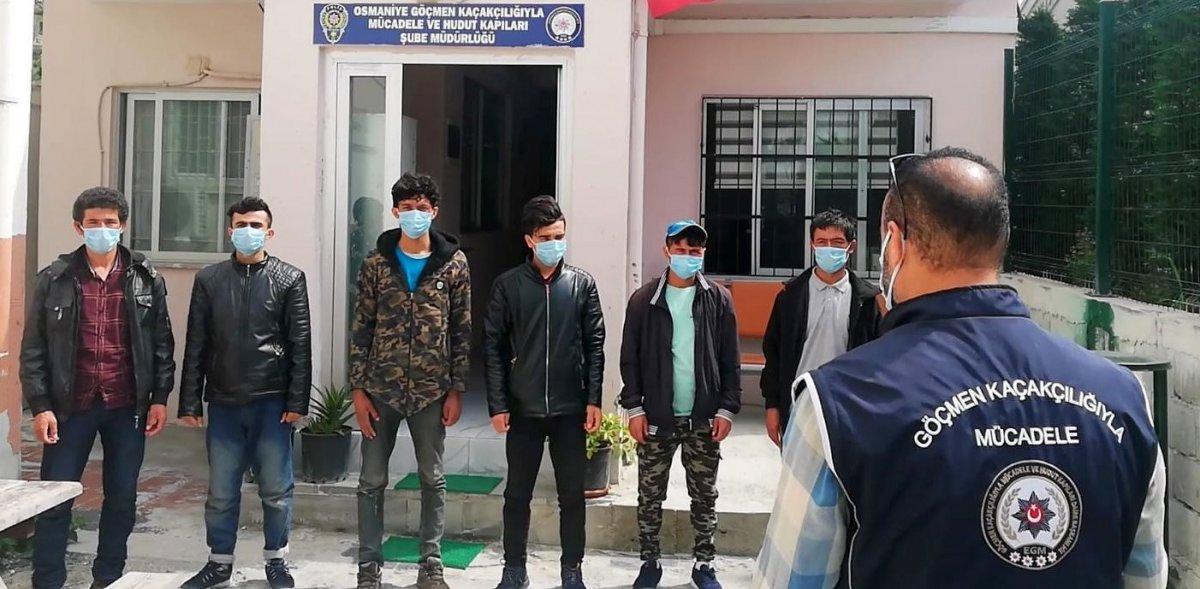 Osmaniye’de 9 düzensiz göçmen yakalandı
