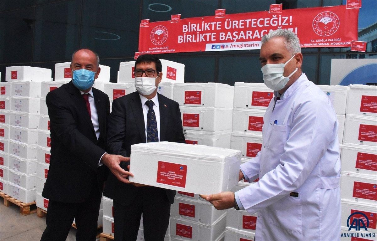 Muğla'da sağlık çalışanlarına 20 ton balık dağıtıldı