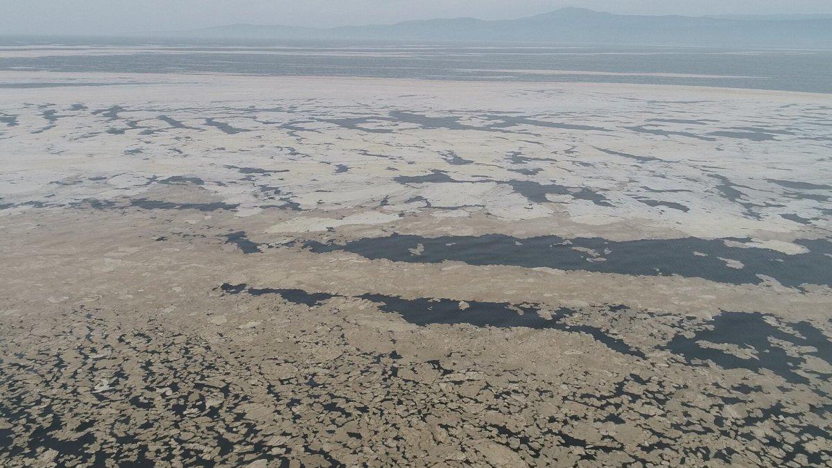 Marmara Denizi'nin birçok noktasına yayılan 'deniz salyası' canlıları tehdit ediyor