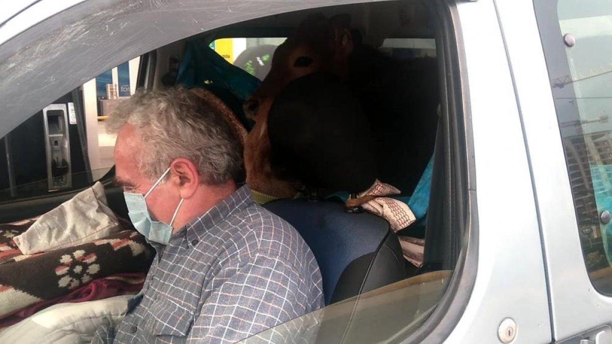 Rize'de, iki düveyi aracının arka koltuğunda yaylaya çıkardı