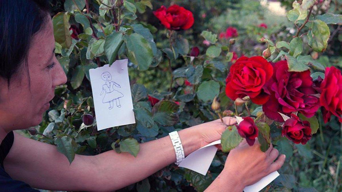 Hıdırellezde dilek nasıl tutulur? Hıdırellez dilek duası ve gül ağacı