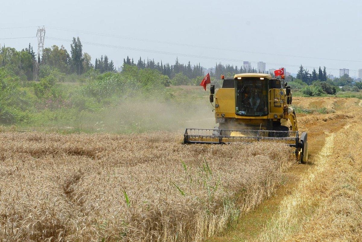 Tarım ihracatı Almanya ve Irak'a yöneliyor