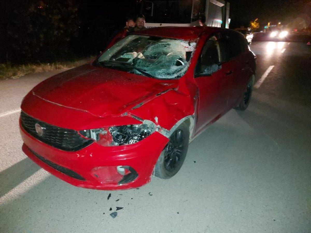 Sakarya'da otomobil ahırdan kaçan ata çarptı