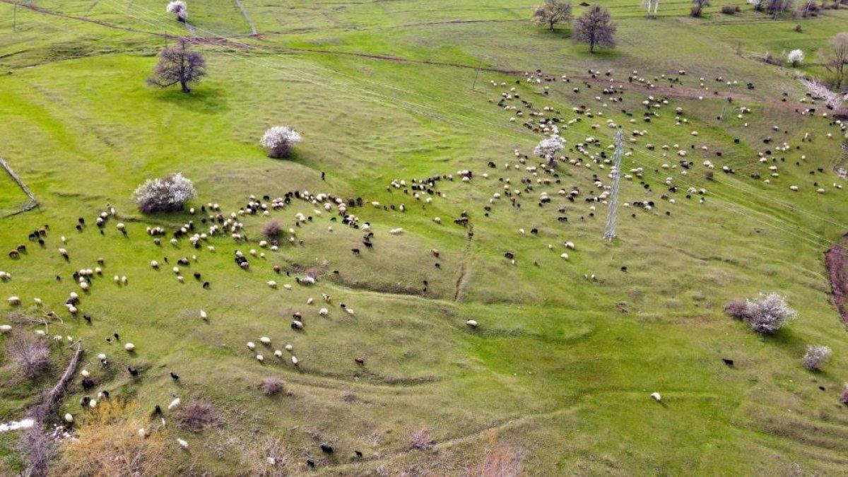 Artvin'de seyrine doyulmaz görüntüler