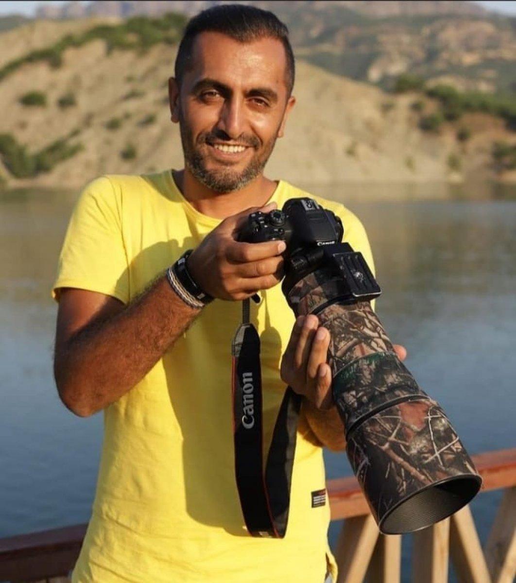 Tunceli'de görüntülenen vaşak, adeta poz verdi