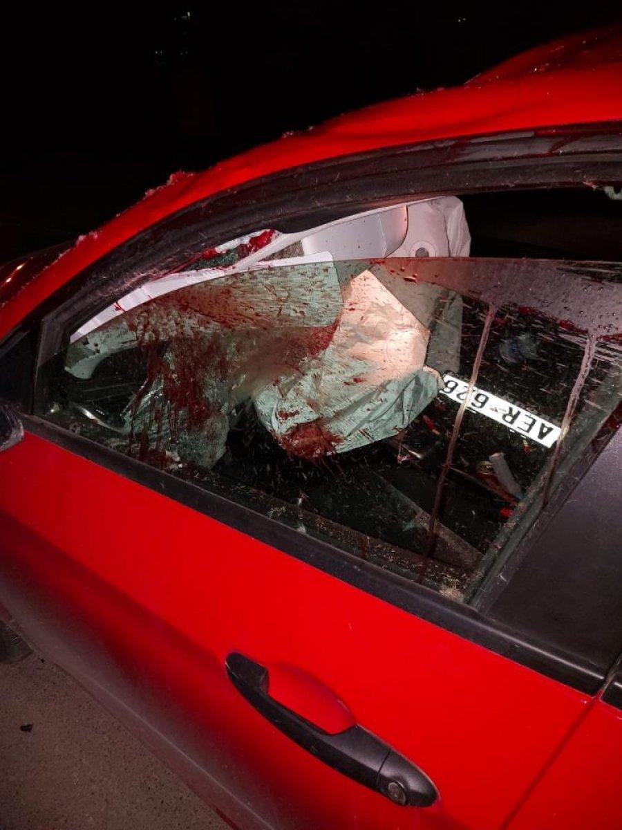 Sakarya'da otomobil ahırdan kaçan ata çarptı