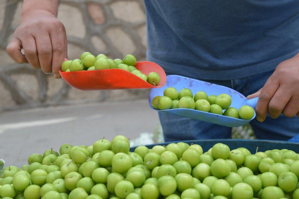 Erik fiyatları düştü