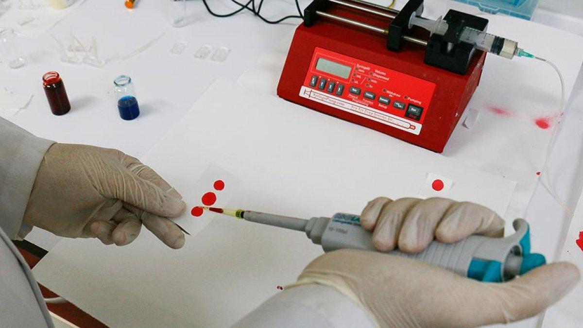 Dünyanın en nadir kan grubu: Altın Kan