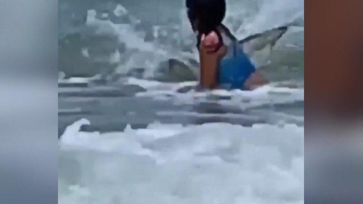 ABD’de köpek balığından kaçan çocuk