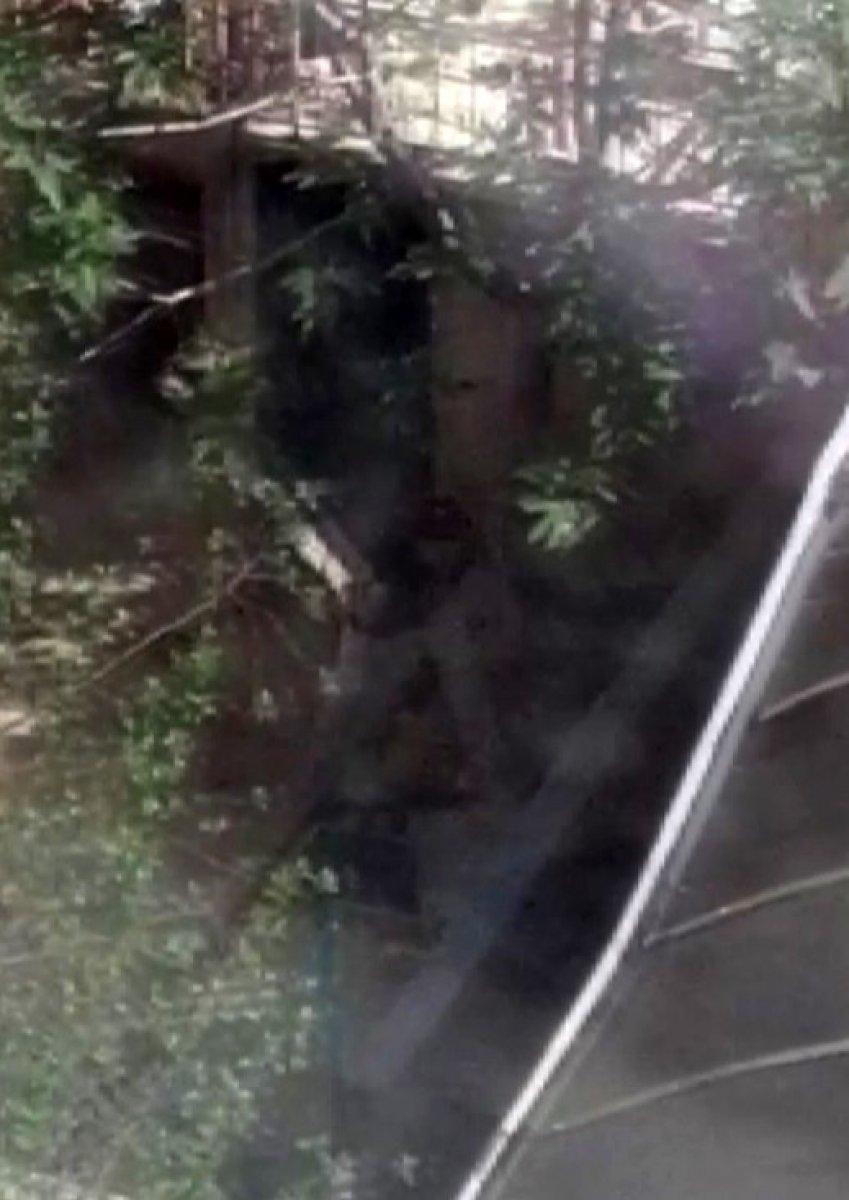 Konya'da köpeklere eziyet eden kadın kamerada