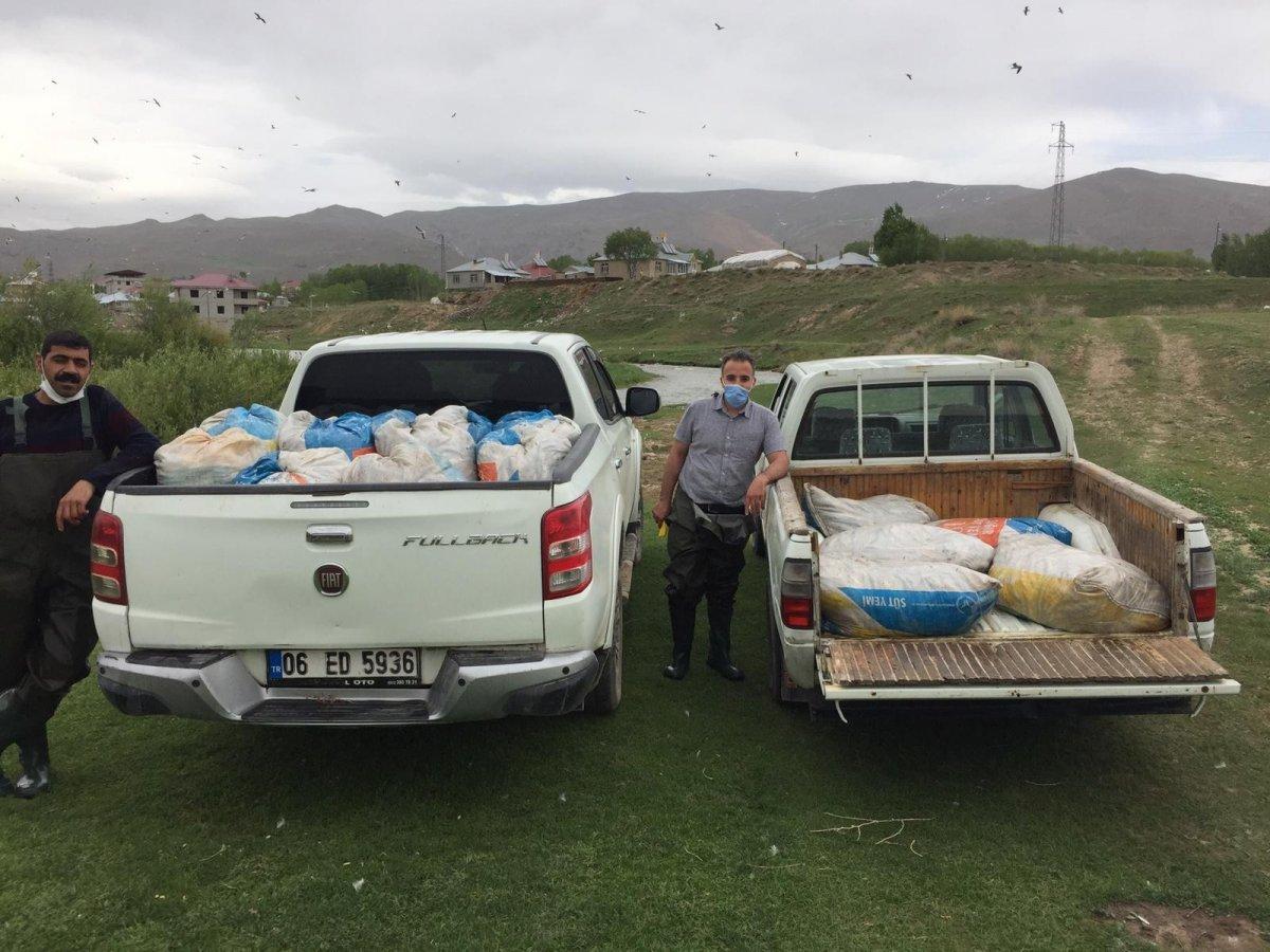 Van kaçak inci kefali avı