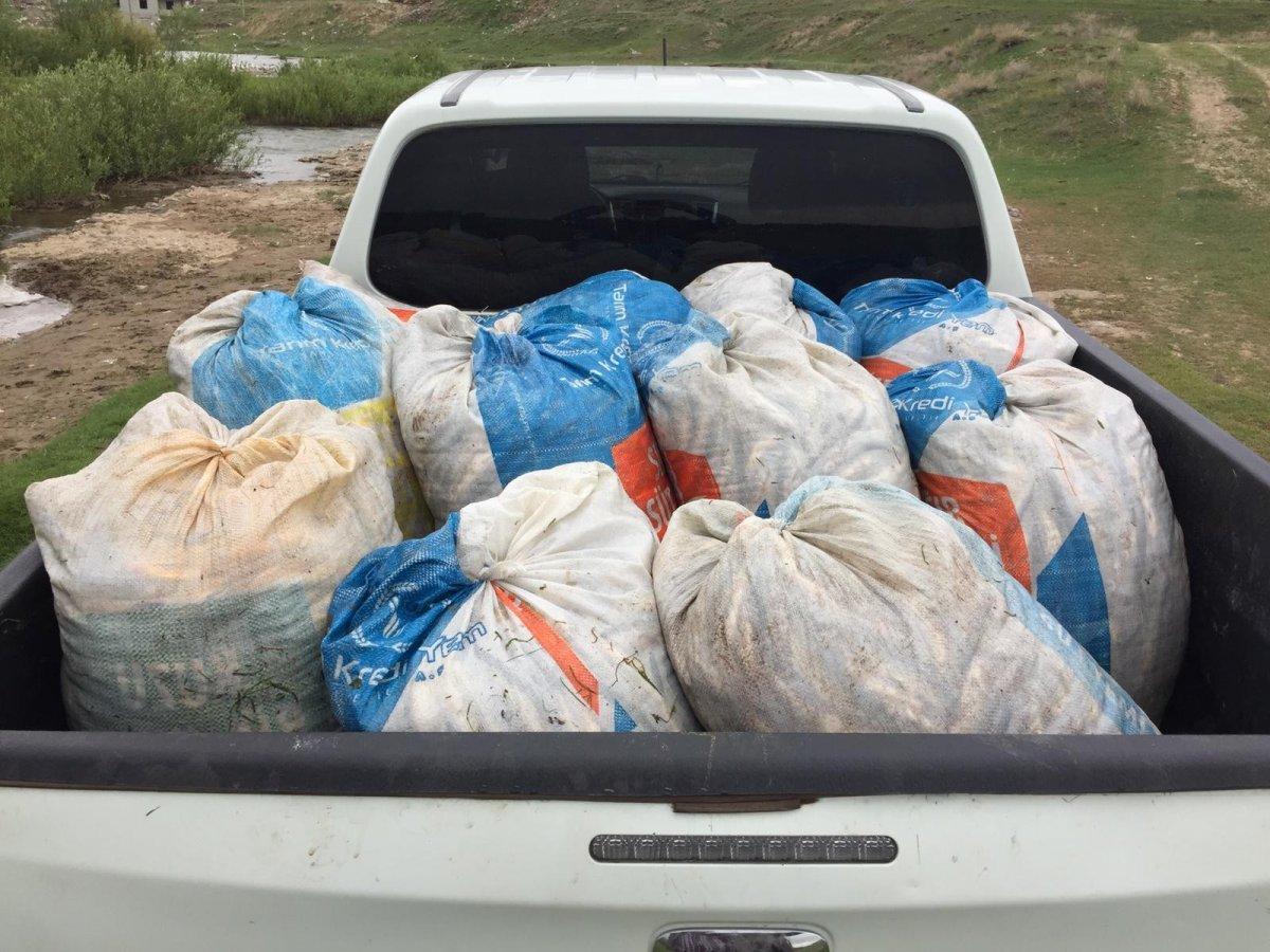 Van kaçak inci kefali avı