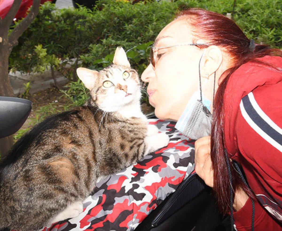 Leman Sam: Kısırlaştırma operasyonu çok masraflı