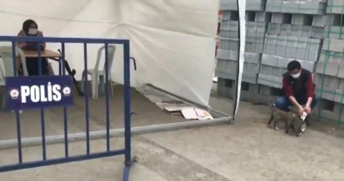 Ağrı'da, polis memurundan alkışlanacak hareket: Sokak köpeklerini sütle besledi