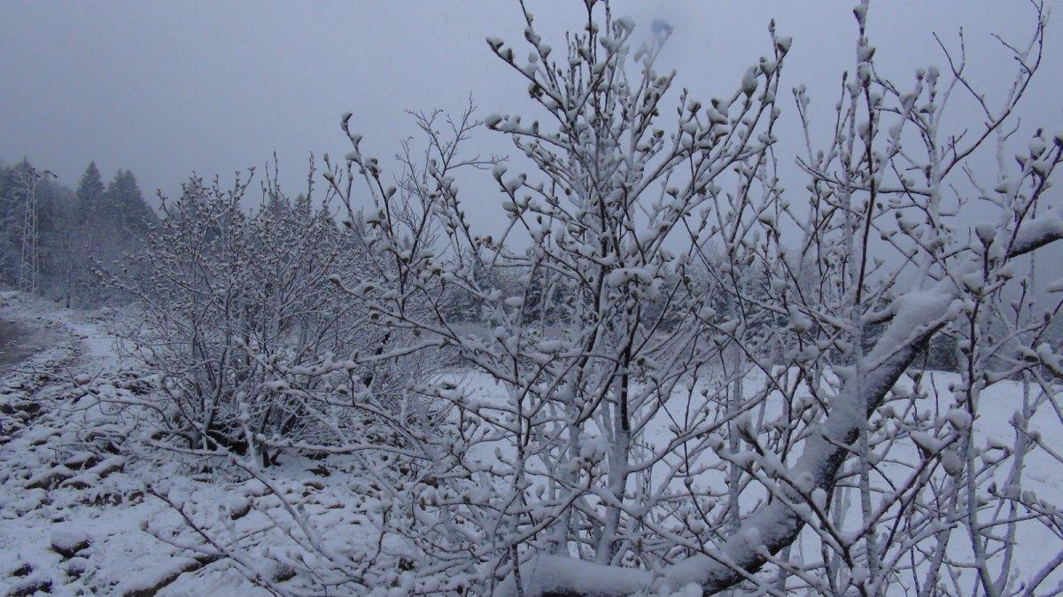 Rize yaylalarında kar sürprizi