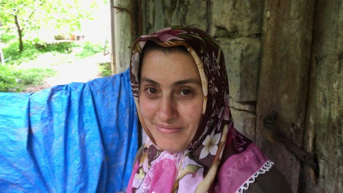 Artvin'de doğum yapan köpek ve yavrularına sahip çıktı