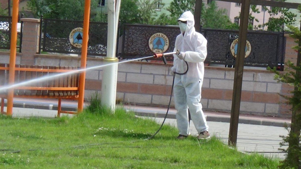 Hakkari’de çekirge istilası