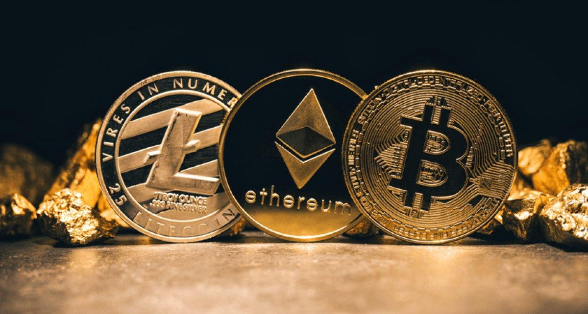 Reef Coin nedir? Reef Coin hakkında bilgiler..